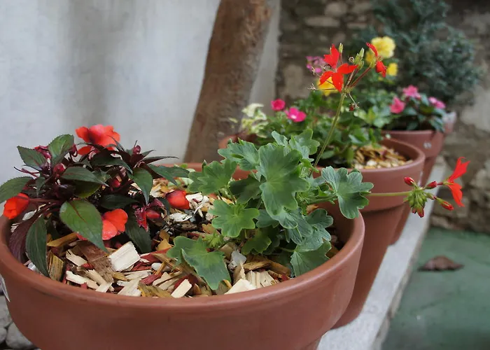 斯普林帝多旅馆