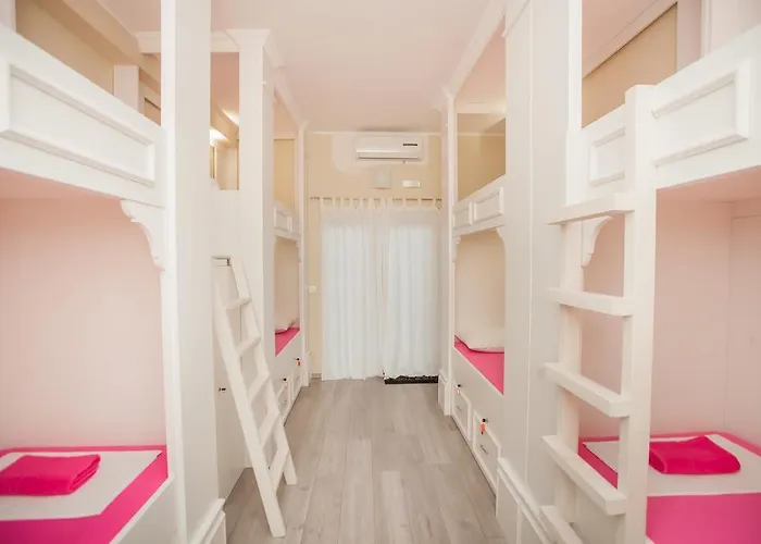 旅馆 斯普林帝多旅馆 *